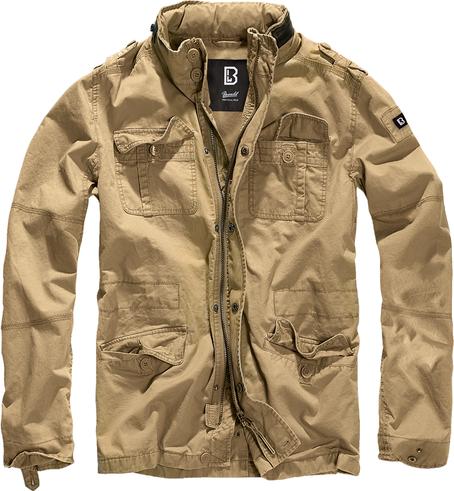 Culoare: Camel