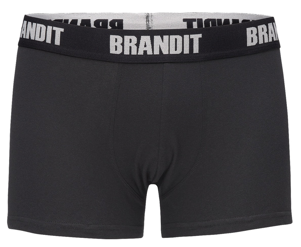 Boxeri Logo Set 2 perechi Brandit