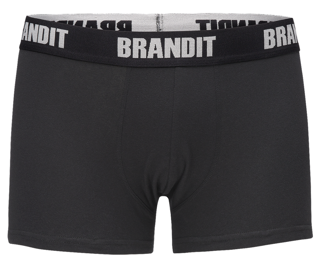 Boxeri Logo Set 2 perechi Brandit