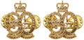 Insigna metalica britanica South Africa Yeomanry, aurie surplus militar autentic | NECLINTIT