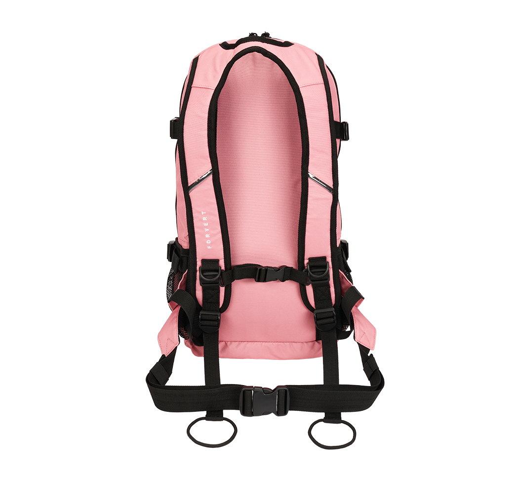 Rucsac urban Louis Forvert 20L cu boardcatcher