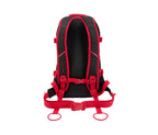 Rucsac urban Fire Louis Forvert 17L