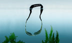 Snur plutitor pentru ochelari WX Floating Leash Cord Wiley X