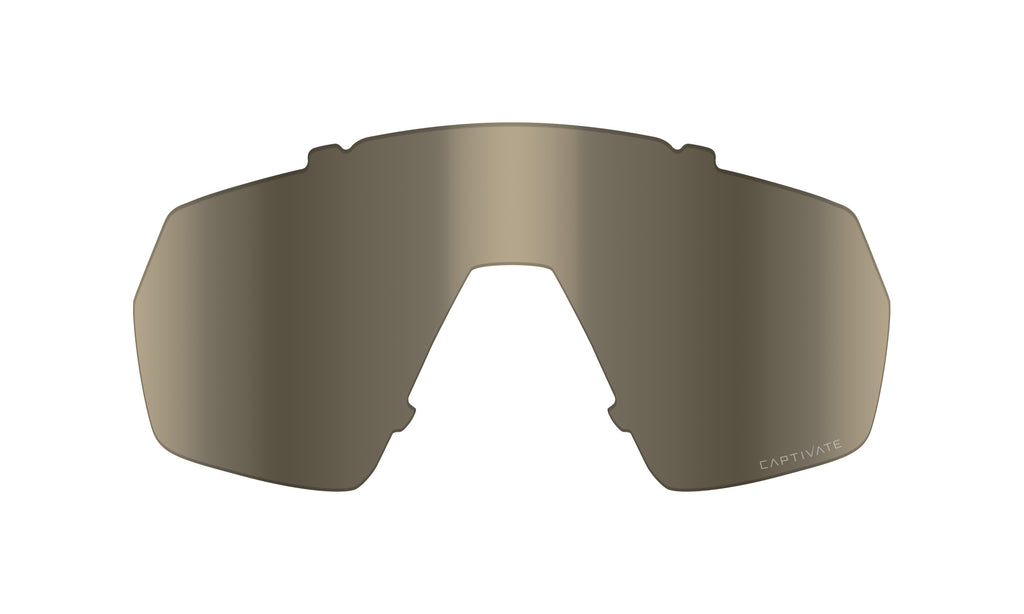 Culoare: CAPTIVATE™ Tungsten Mirror