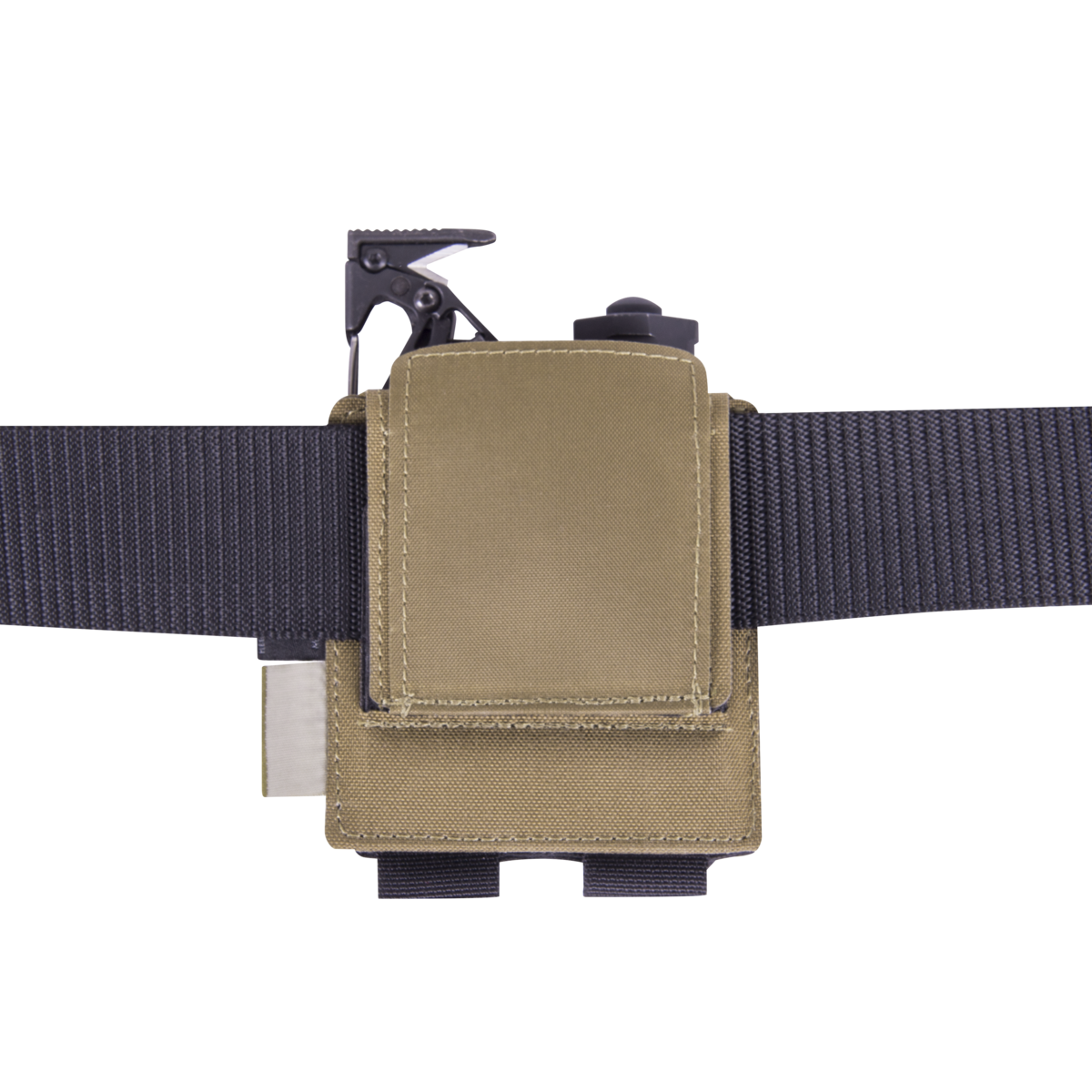 Culoare: Coyote