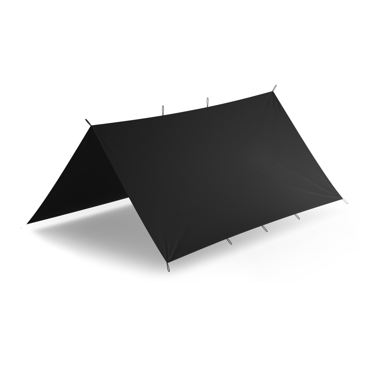 Culoare: Negru
