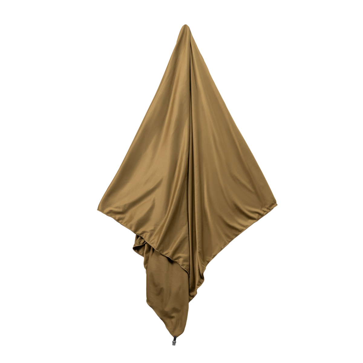 Culoare: Coyote