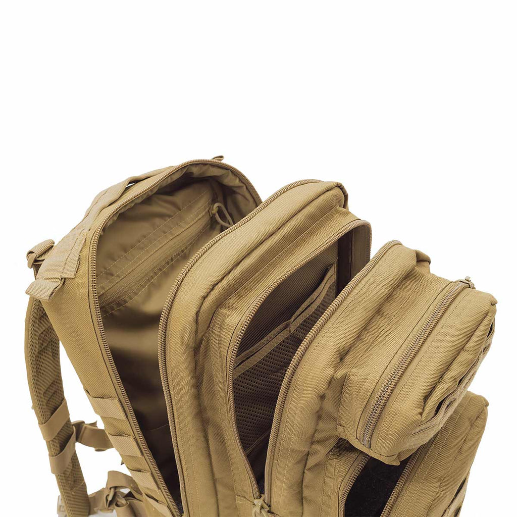 Culoare: Coyote