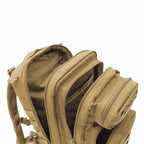 Culoare: Coyote