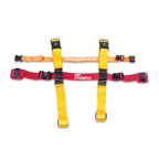 Culoare: Multicolor
