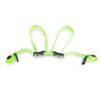 Culoare: Multicolor
