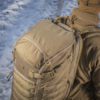 Culoare: Coyote