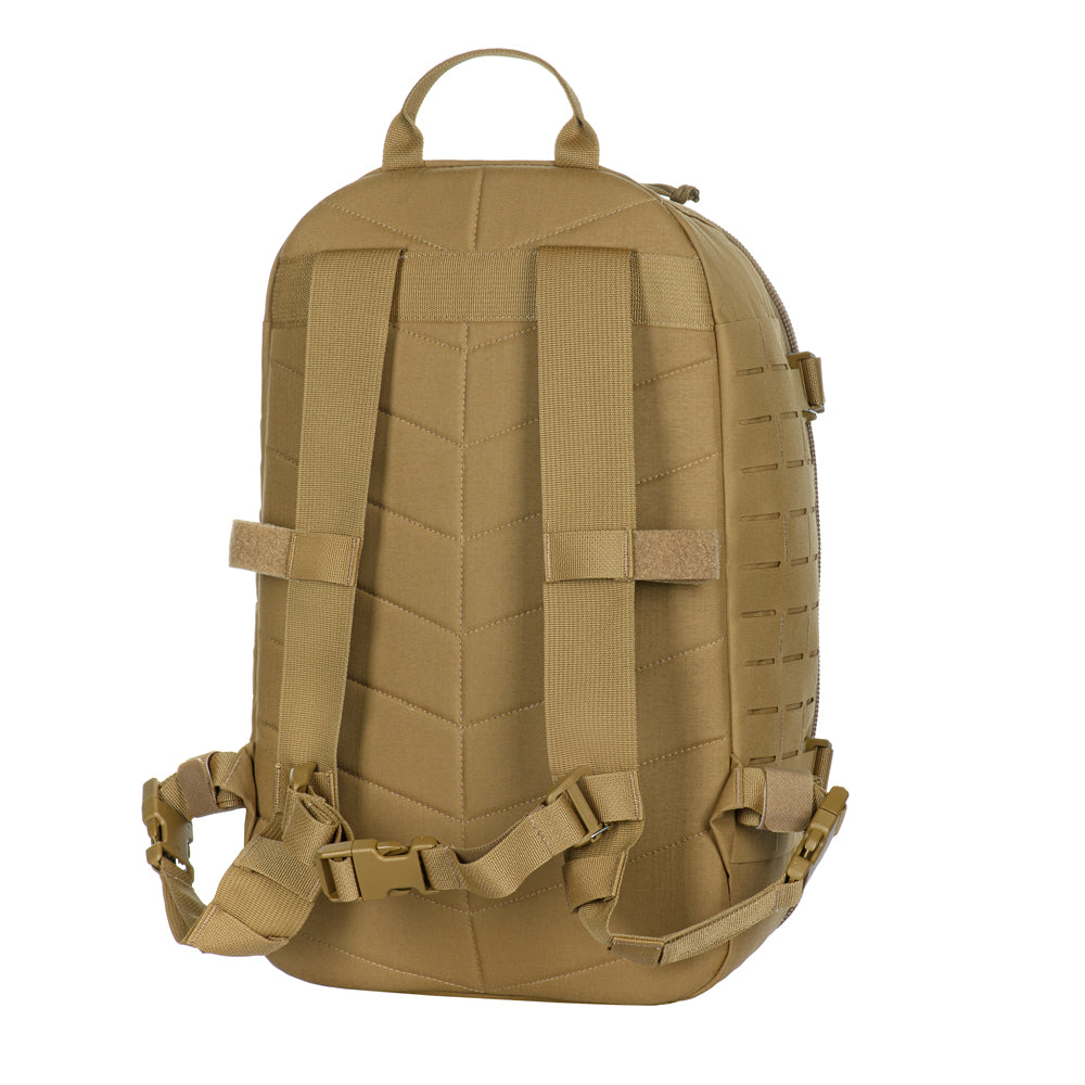 Culoare: Coyote