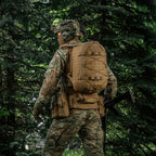 Culoare: Coyote