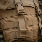 Culoare: Coyote