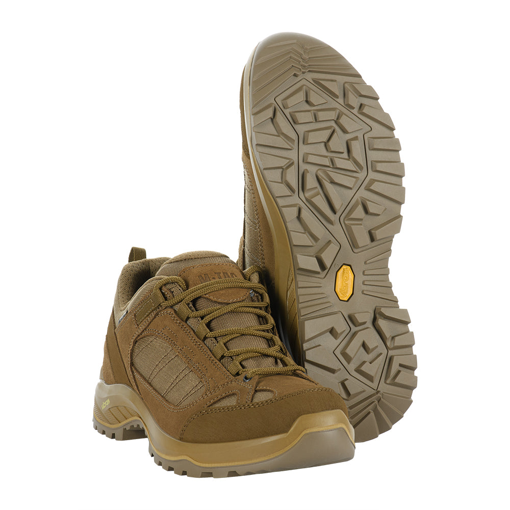 Culoare: Coyote