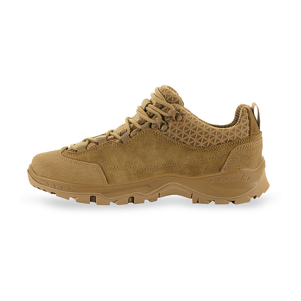 Culoare: Coyote