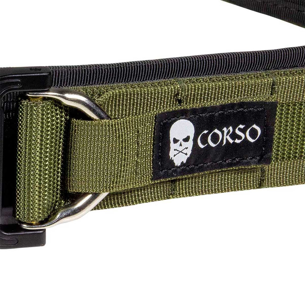 Culoare: Ranger Green