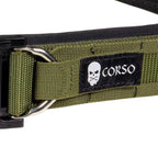 Culoare: Ranger Green