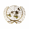 Insigna metalica de bereta ONU Immortal Warrior